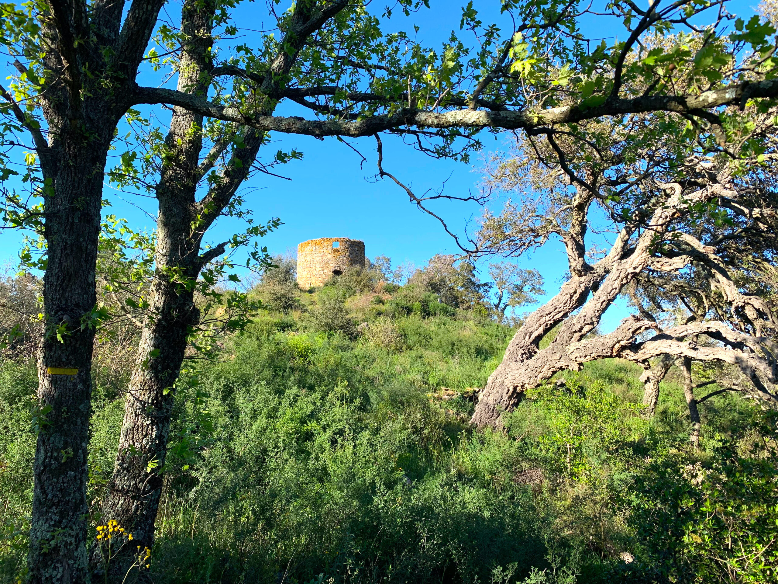 moulin de l'Adrech